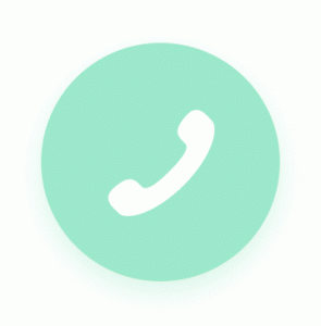 Call Us Phone Icon