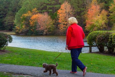 A woman walks her dog alongside our lake