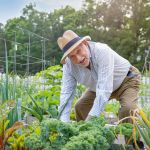 Man gardening
