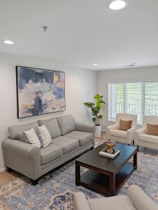 Apartment 311: Hydrangea Living Room