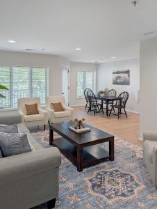 Apartment 311: Hydrangea Living Room