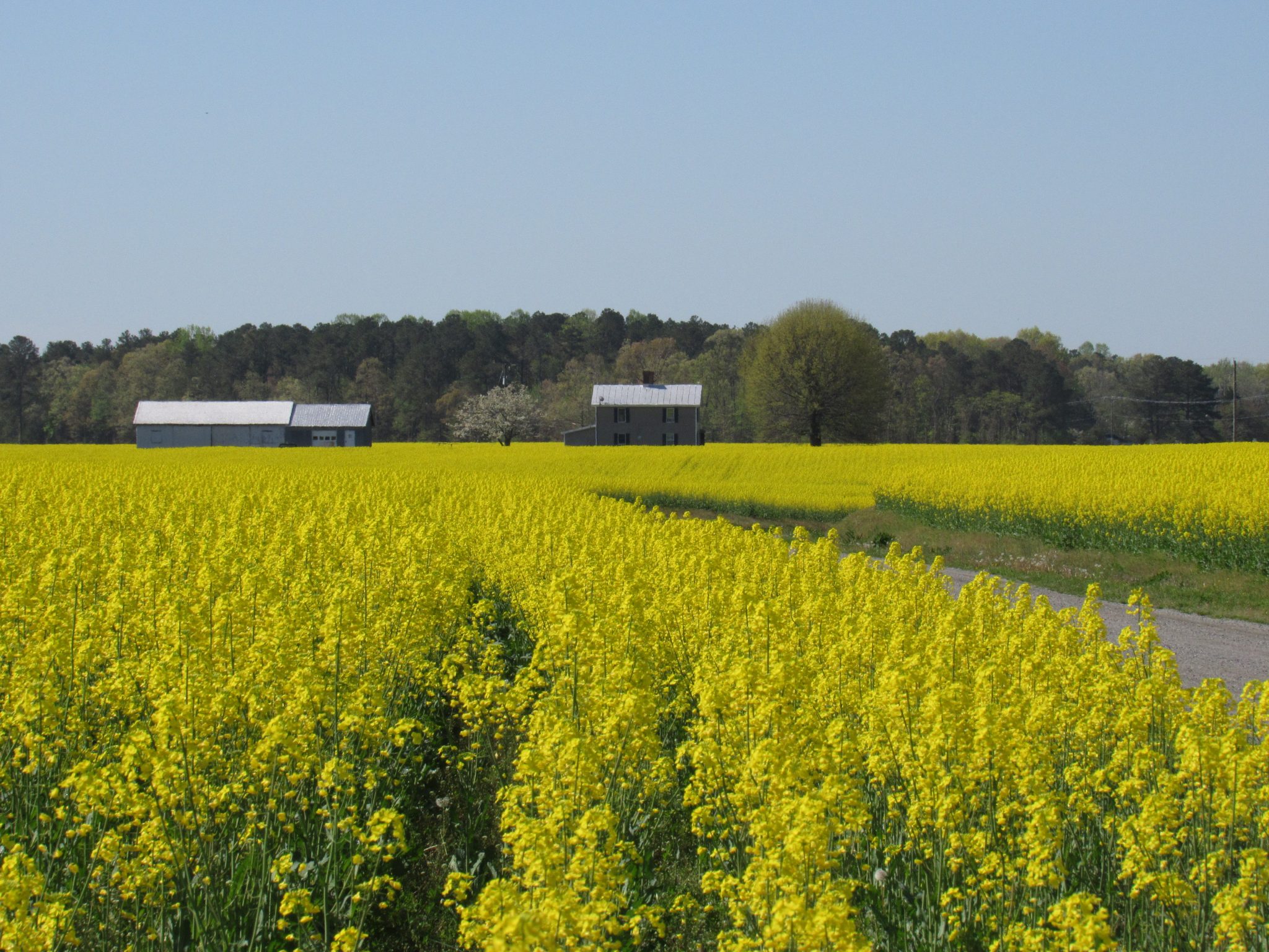 Local shutterbug is Rappahannock Westminster-Canterbury’s featured artist in April