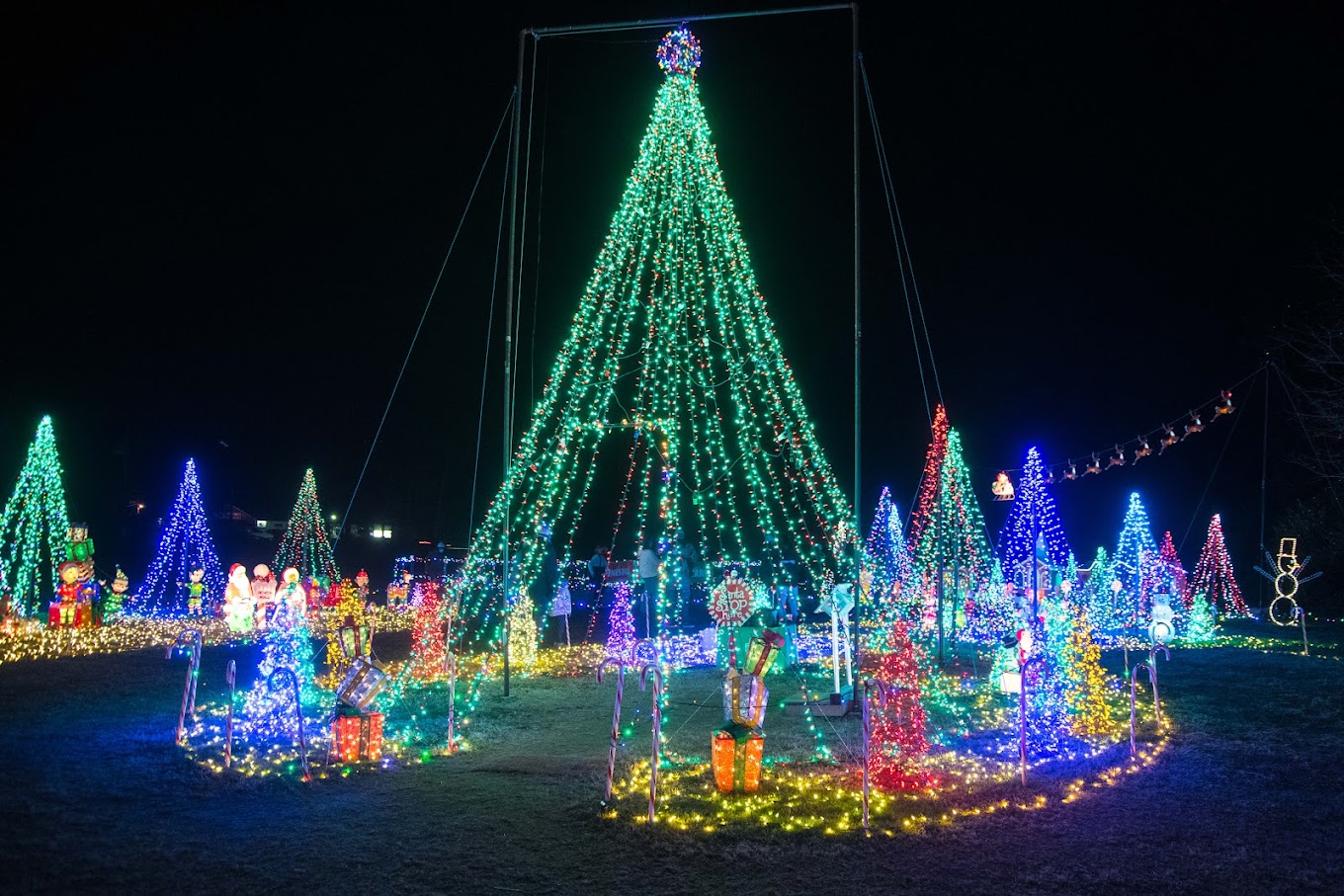Christmas lights