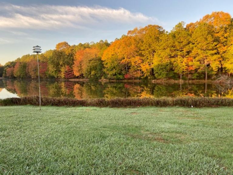 Why Fall Is a Great Time to Move to a CCRC