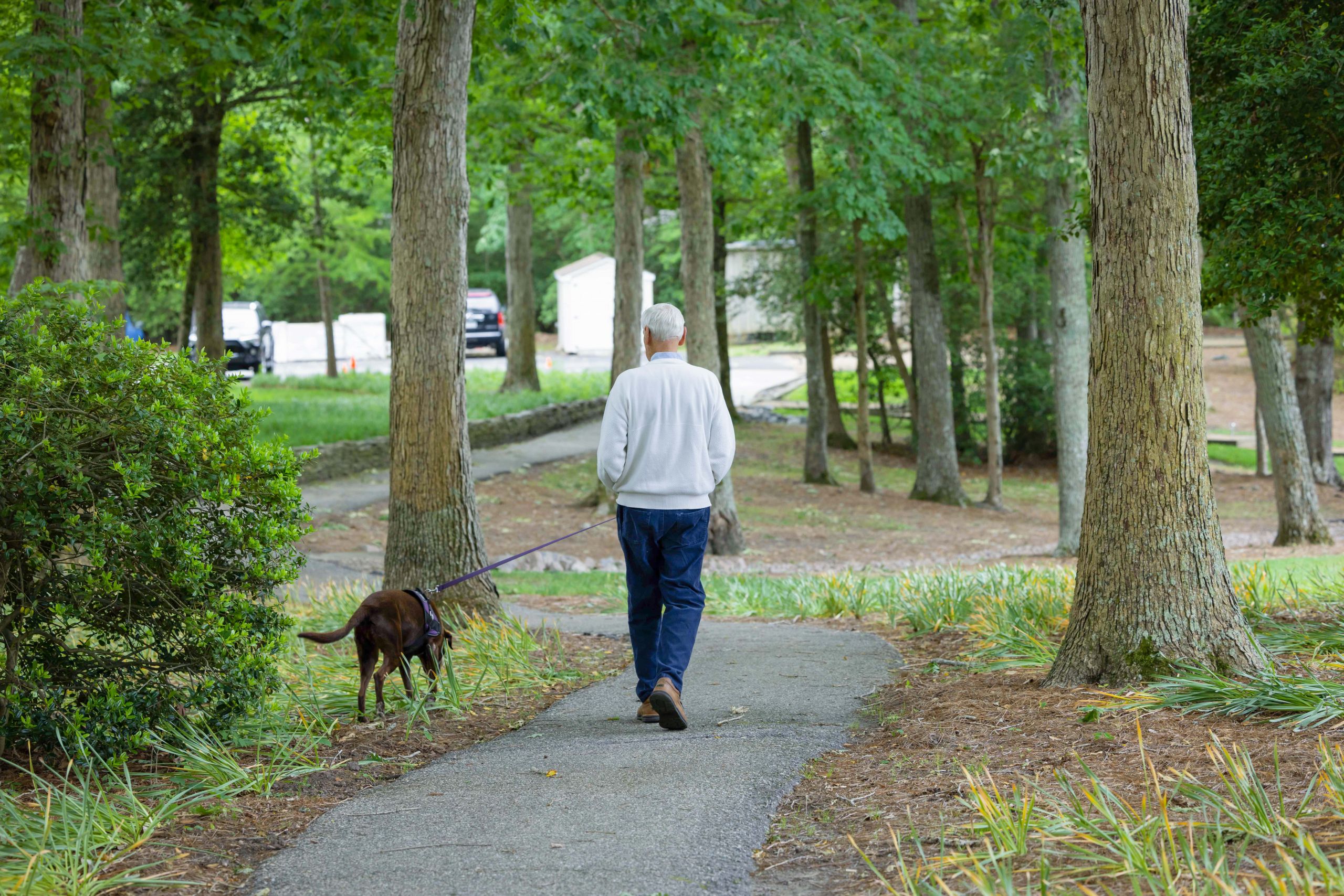 Medicare-Certified vs. Private Pay and the Cost Impact