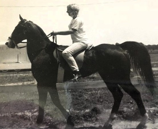 My Horse