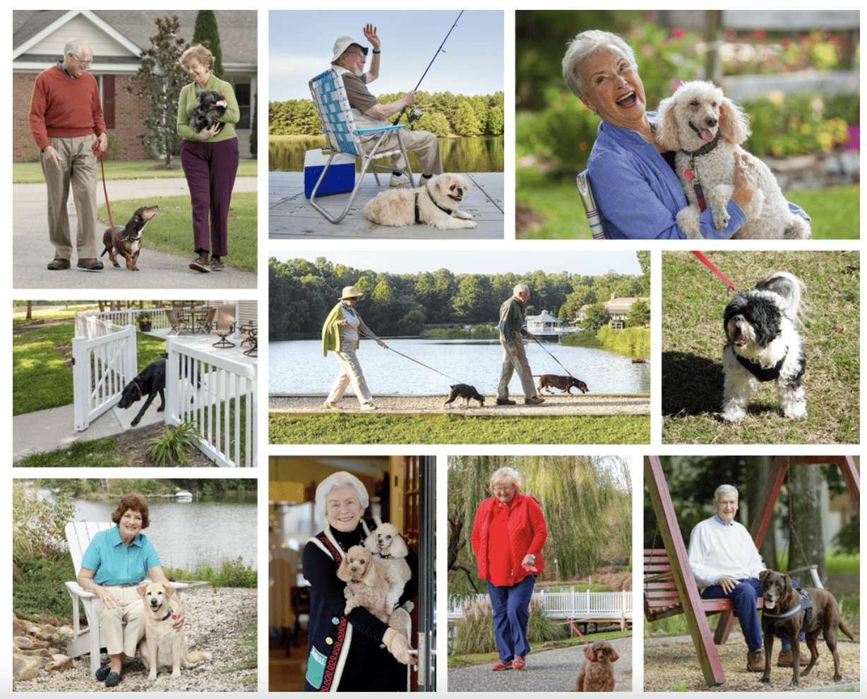 The Joys and Benefits of Owning a Pet for Seniors