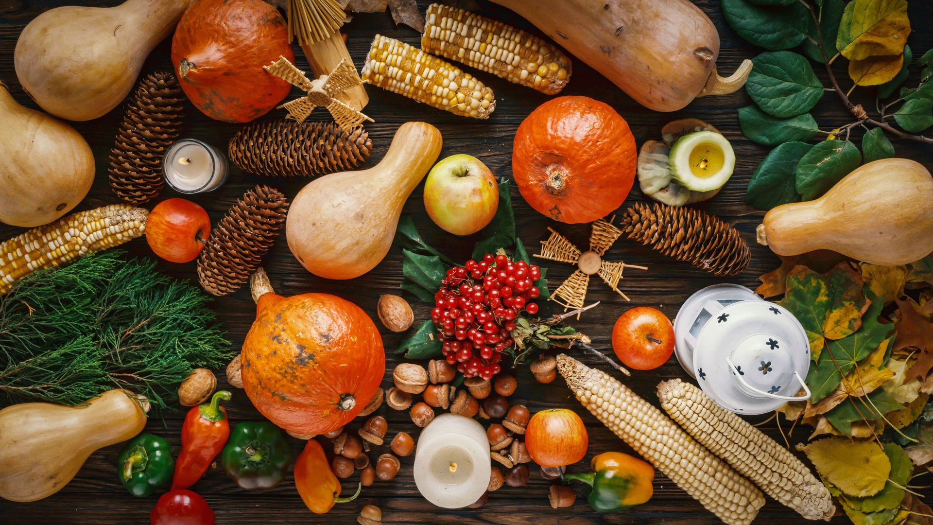 Fall Harvest