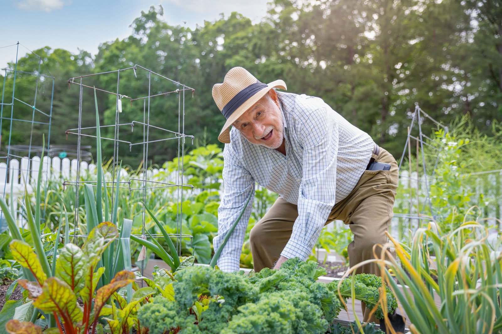 Homepage Man Vegetable Gardening