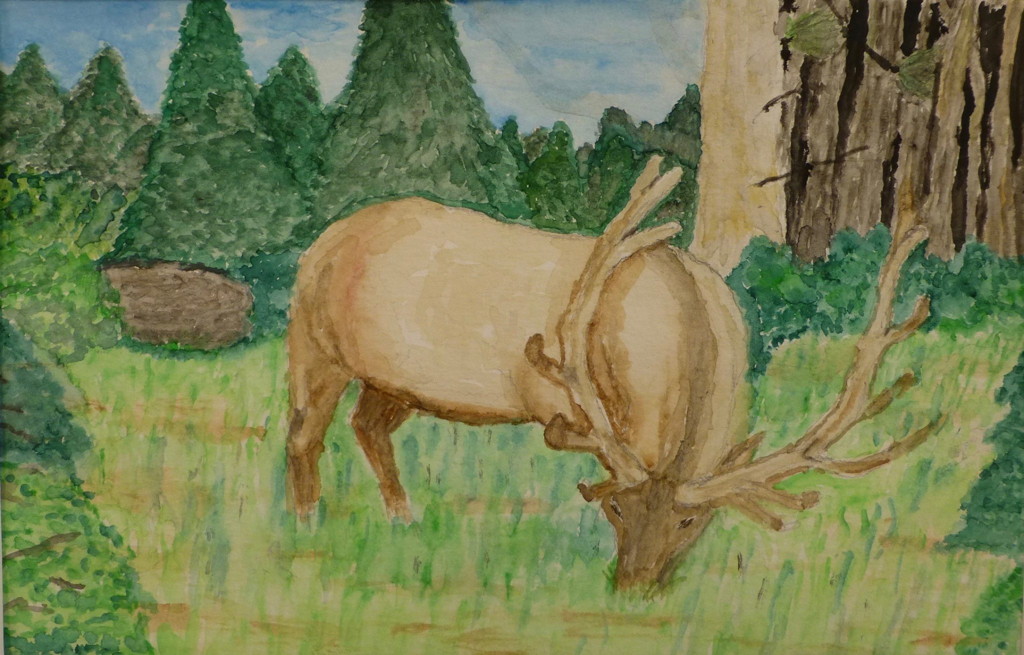 RWC residents headline art show in October