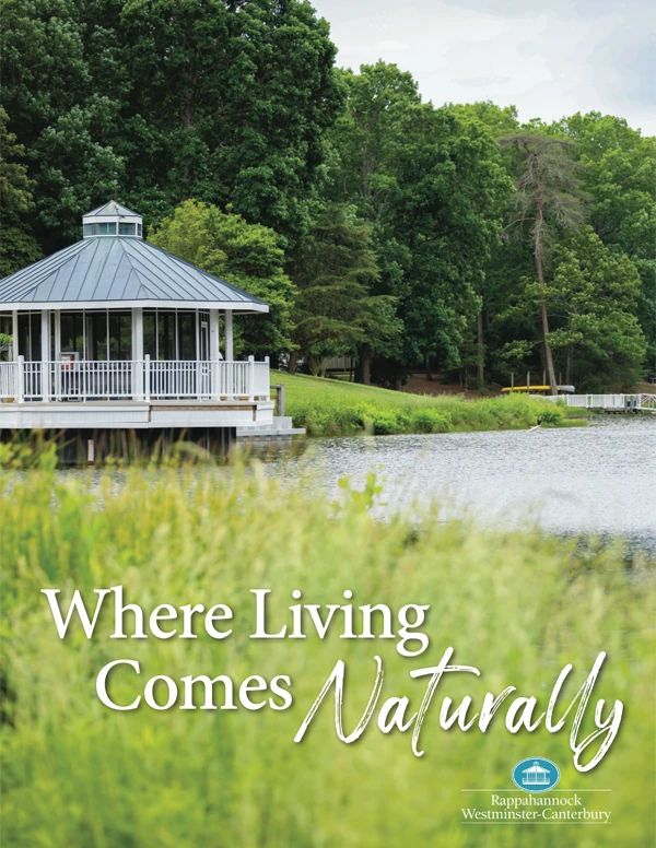 Lakeside gazebo surrounded by trees and tall grass